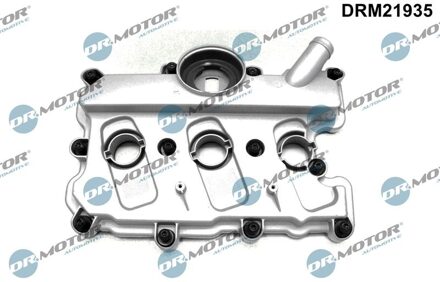 Audi Cilinderkopkap DRM21935