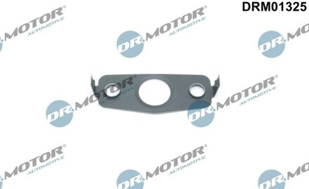 Audi Dichting, olieuitlaat turbolader DRM01325