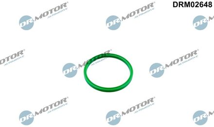 Audi Dichtring, laadluchtslang DRM02648