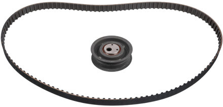 Audi Distributieriemset 14574