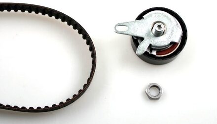 Audi Distributieriemset 201176