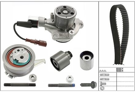 Audi Distributieset + Waterpomp 530065030