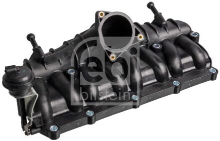 Audi Frame, inlaatspruitstuk 176453