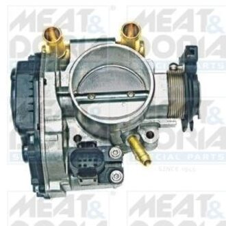 Audi Gasklephuis 89008