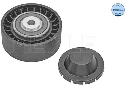 Audi Geleide rol/omdraairol, Poly V-riem 1001450005