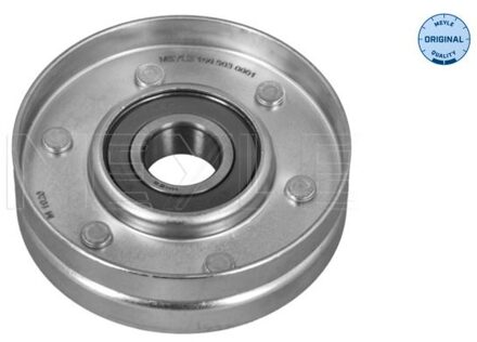 Audi Geleide rol/omdraairol v-snaren 1009030001