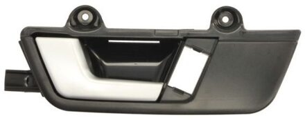 Audi Handgreep, interieur 601025031409P