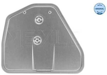 Audi Hydraulische filter, automatische transmissie 1001360011