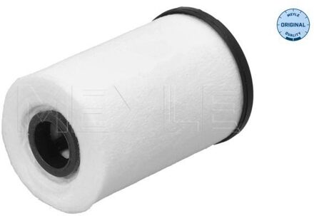 Audi Hydraulische filter, automatische transmissie 1001360012