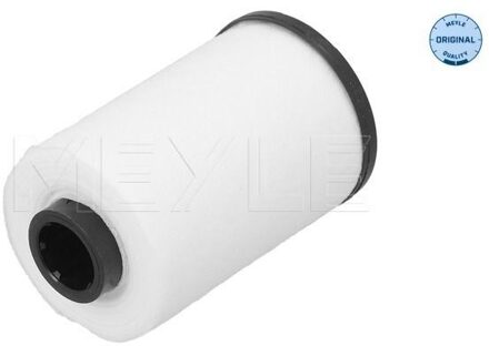 Audi Hydraulische filter, automatische transmissie 1001360013