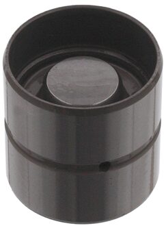 Audi Hydraulische Klepstoter