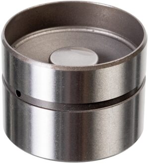 Audi Hydraulische Klepstoter