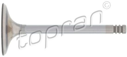 Audi Inlaatklep 101599