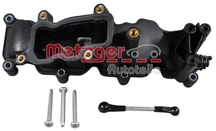 Audi Inlaatspruitstuk 2100007