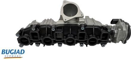 Audi Inlaatspruitstuk BIM17010