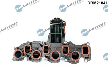 Audi Inlaatspruitstuk DRM21841