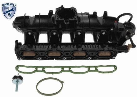 Audi Inlaatspruitstuk V106723