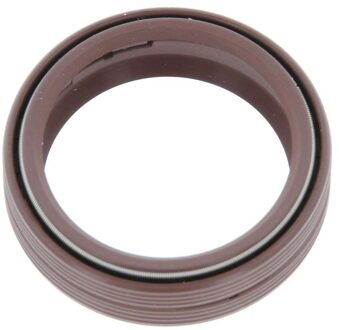 Audi Keerring, automatische transmissie 19036714B