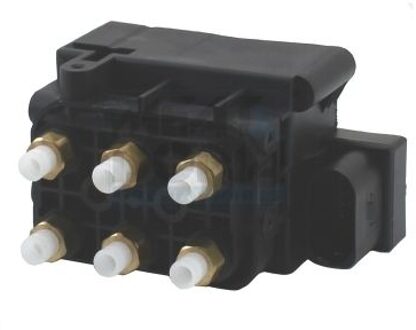 Audi Klep, pneumatisch systeem 58210