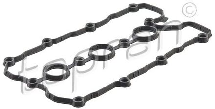 Audi Klepdekselpakking 112915