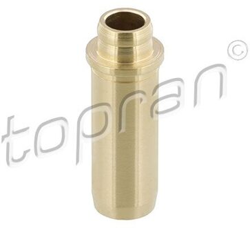 Audi Klepgeleider 100247