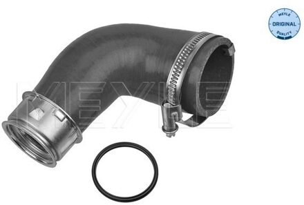 Audi Laadluchtslang 1000360043