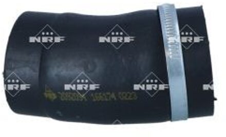 Audi Laadluchtslang 166174