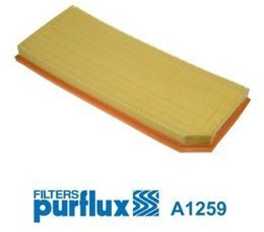 Audi Luchtfilter A1259