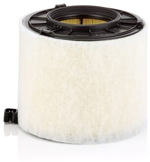 Audi Luchtfilter C17014