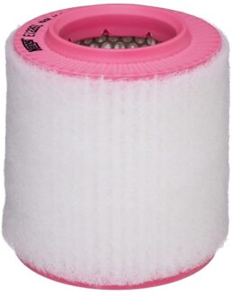 Audi Luchtfilter E1226L