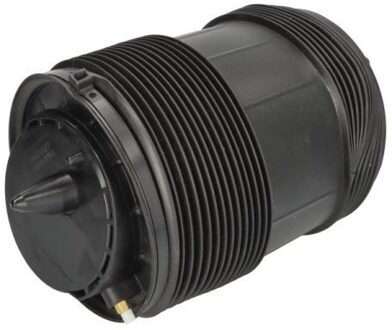 Audi Luchtvering, chassis MZA015MT