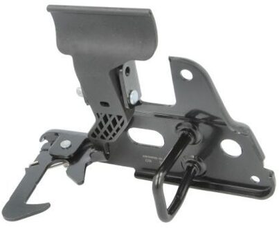 Audi Motorkapslot 6010250060424PP