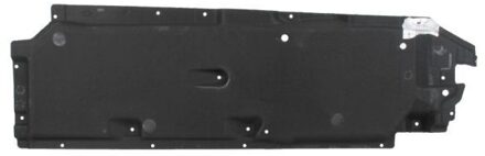 Audi Motorverkleding 6601020041981P