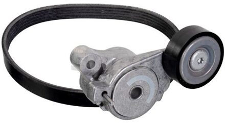 Audi Multi-V-riem-, v-snaar set 33104404