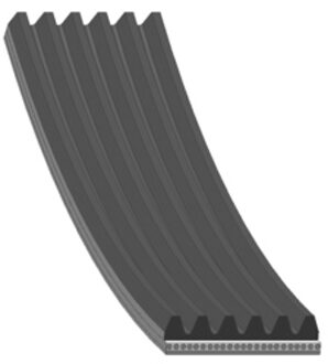 Audi Multiriem 28909