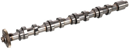 Audi Nokkenas 171969