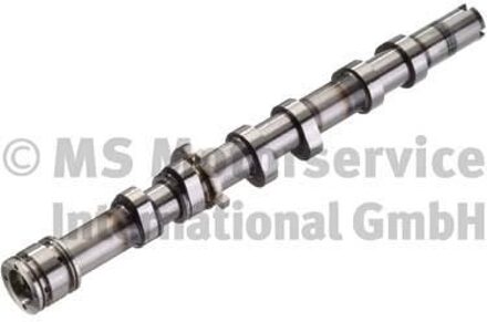 Audi Nokkenas 50006100