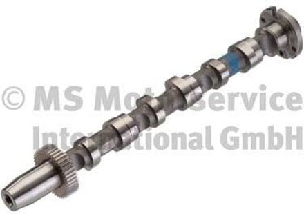 Audi Nokkenas 50007002