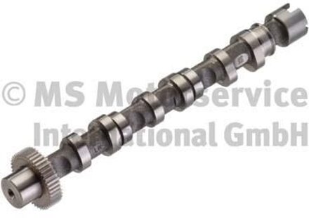 Audi Nokkenas 50007005