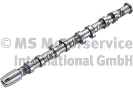 Audi Nokkenas 50007589