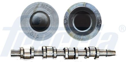 Audi Nokkenas CM052181