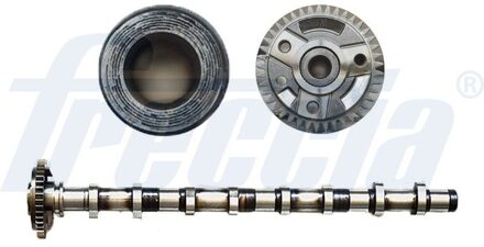 Audi Nokkenas CM052187