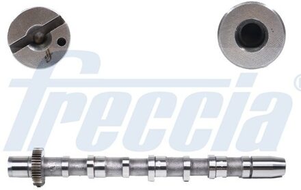 Audi Nokkenas CM052189