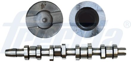 Audi Nokkenas CM052203