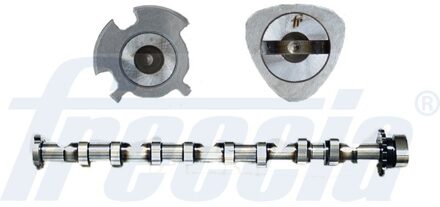 Audi Nokkenas CM052246