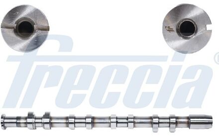 Audi Nokkenas CM052247