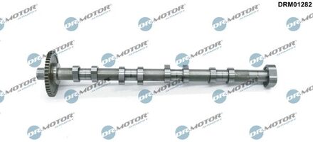 Audi Nokkenas DRM01282