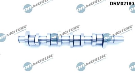 Audi Nokkenas DRM02180