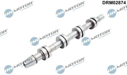 Audi Nokkenas DRM02874