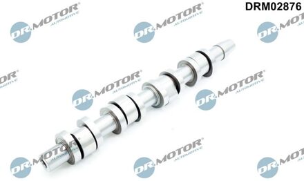 Audi Nokkenas DRM02876